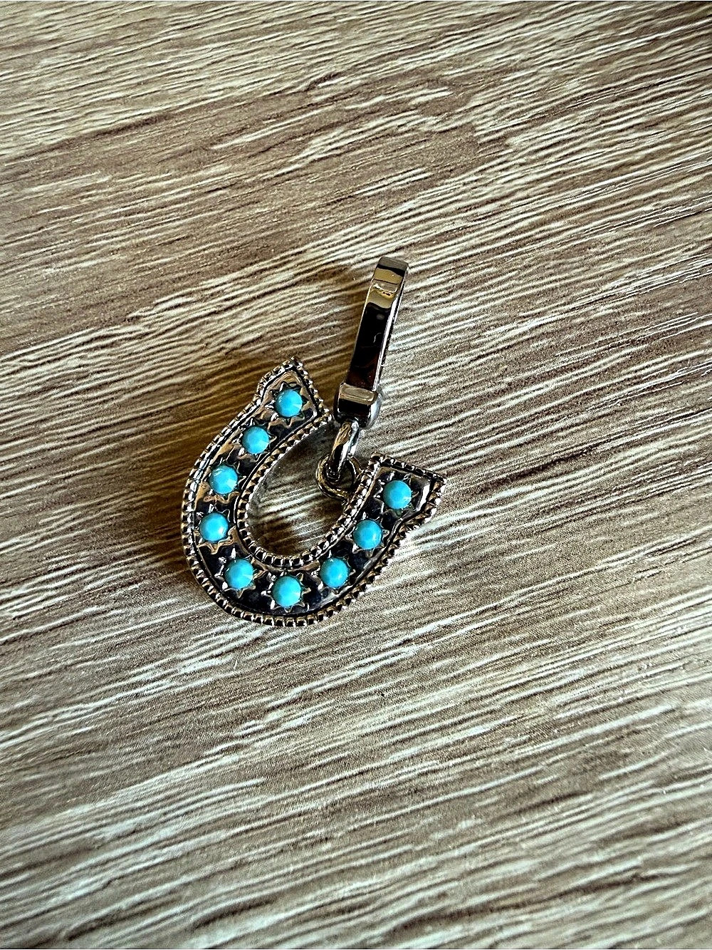 Juicy Couture Silvertone Horseshoe Charm Silver & Blue
